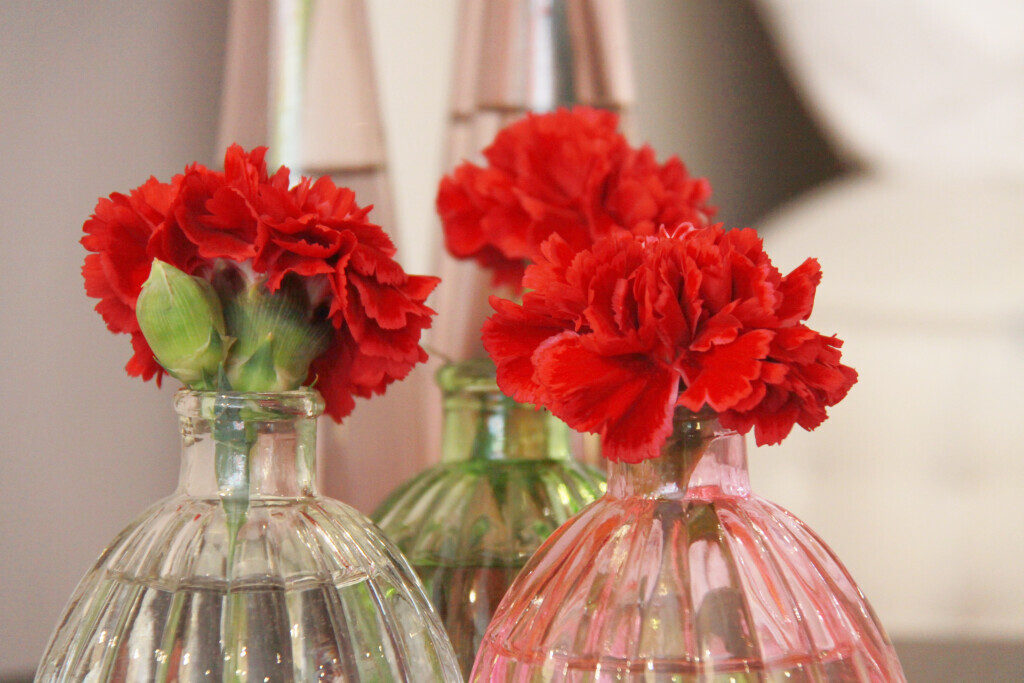 Bilder Sun Gebäudeservice von A-Z