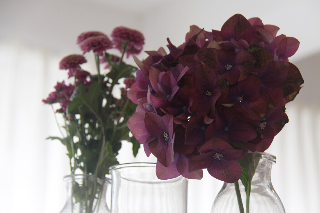 Bilder Sun Gebäudeservice von A-Z