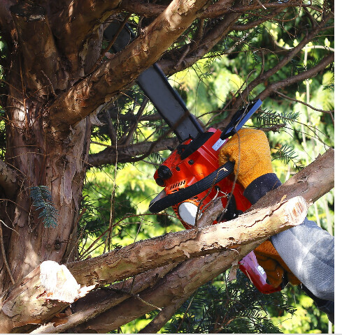 Bilder Uckermark Grün GmbH