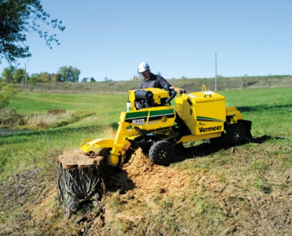 Bilder Uckermark Grün GmbH