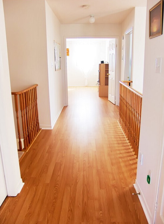 Bilder Michael Wunder - Der Malermeister