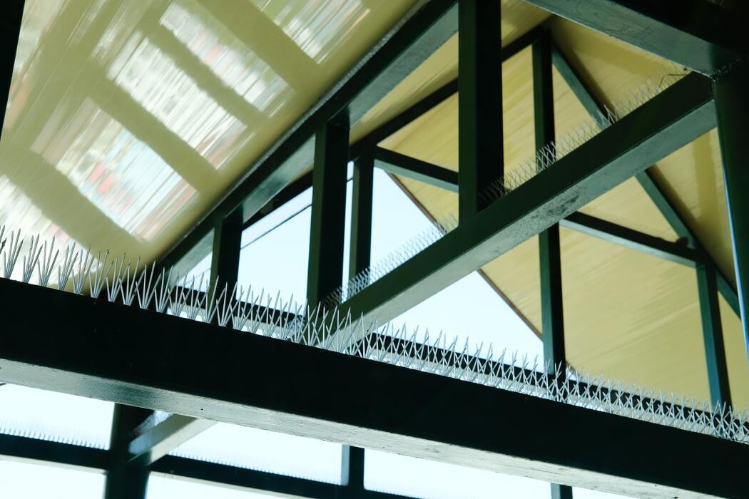 Bilder Hausmeisterei Stückl GmbH