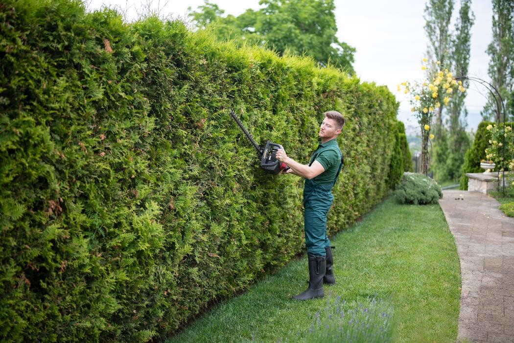Bilder Hausmeisterei Stückl GmbH