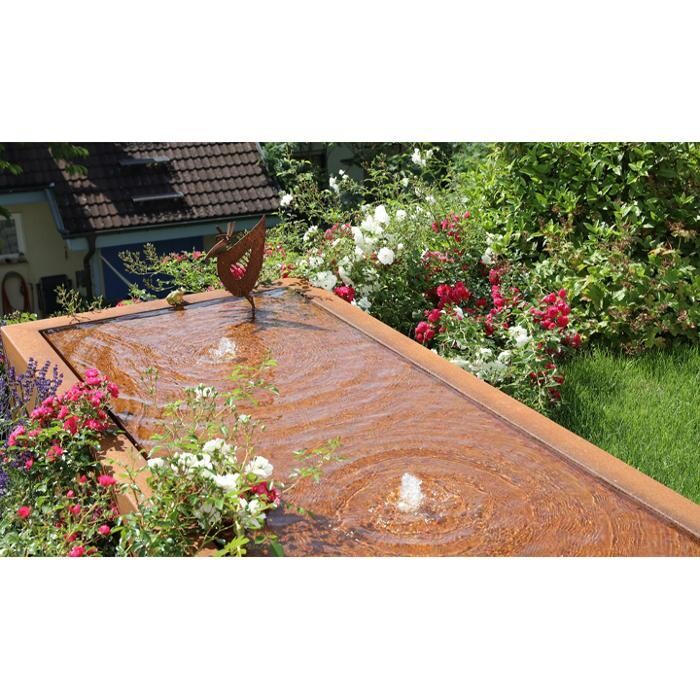 Bilder Jürgen Eise Garten
