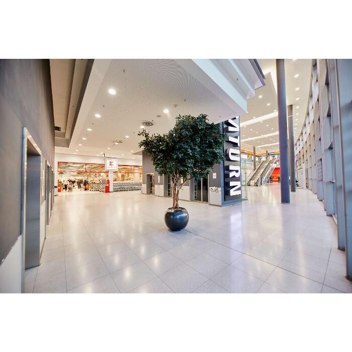 Bilder Kaufland Hamburg-Bergedorf