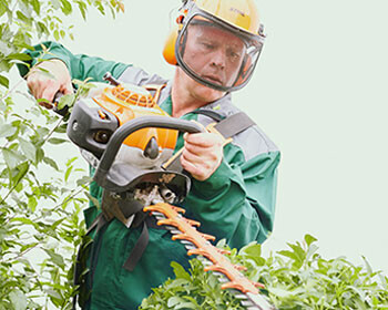 Bilder Maschinenring Ostbayern GmbH