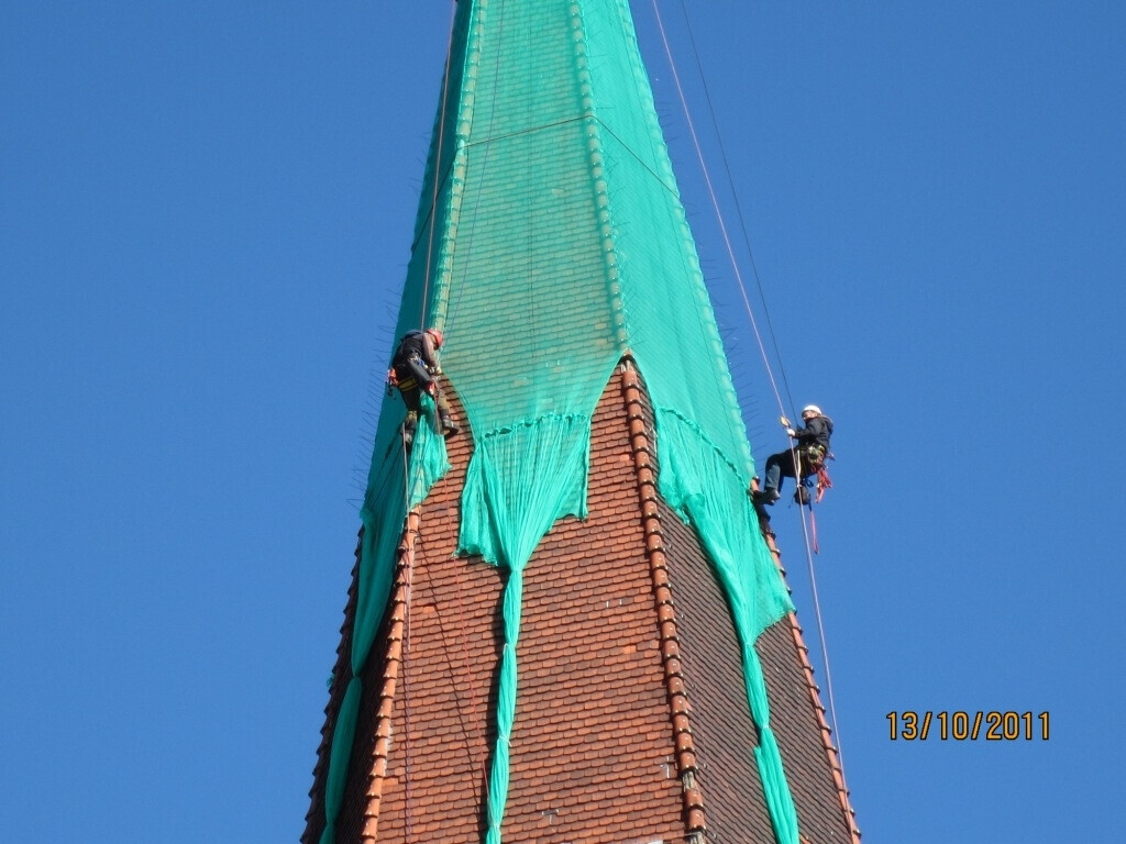 Bilder Thomas Michaelis -Öffentlich bestellter und vereidigter Sachverständiger für das Dachdeckerhandwerk