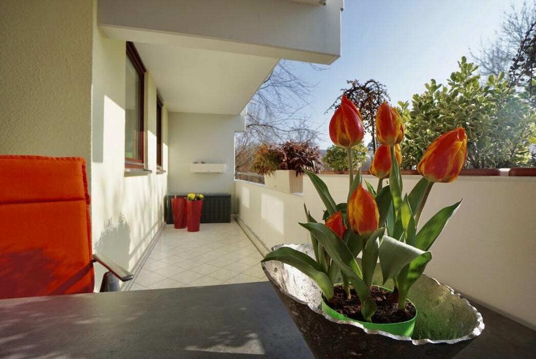 Bilder Constanze Fuhrmann Immobilien am Bodensee - Immobilienmakler Radolfzell - Konstanz