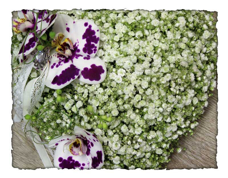 Bilder Tina's Blumenstüble