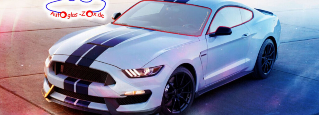 Bilder Autoglas Zox