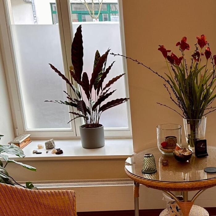 Bilder Psychotherapeutische Praxis für Gestalttherapie Adrian Grell (HeilprG)