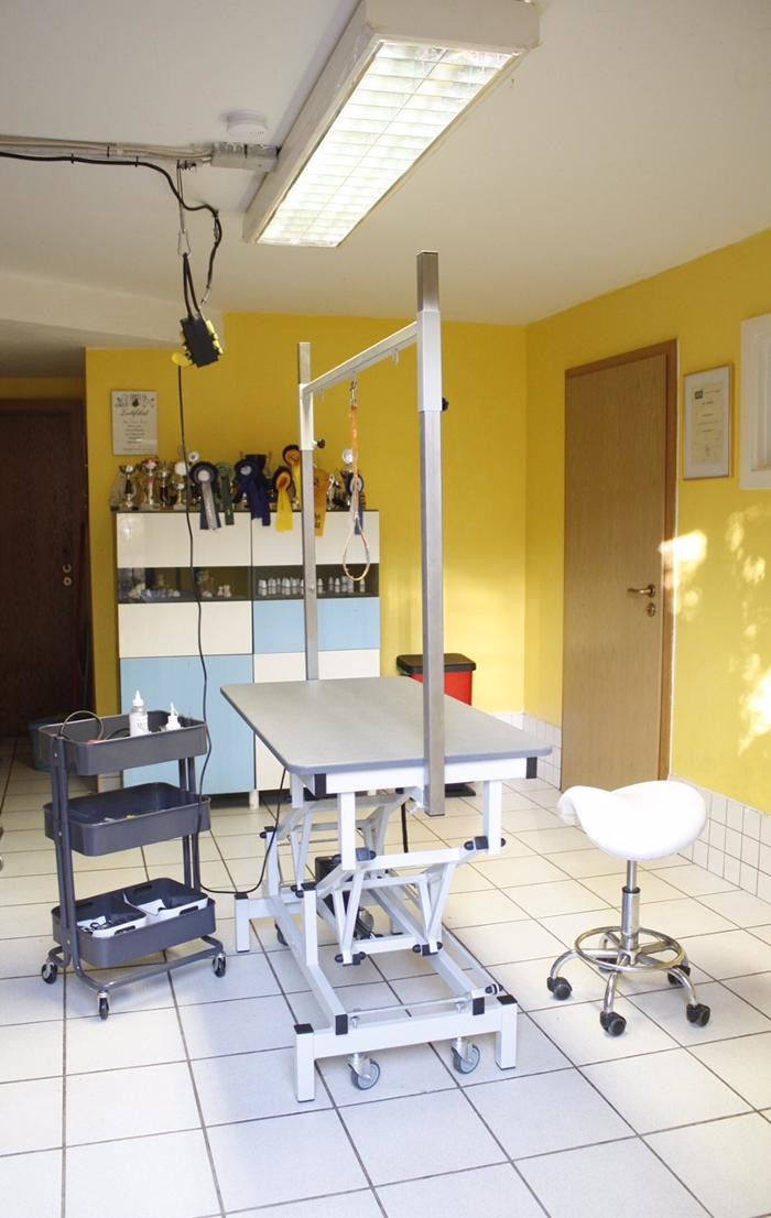 Bilder Hundesalon Christina Brögeler