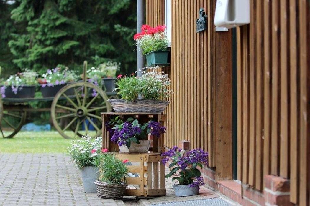 Bilder Haasehof