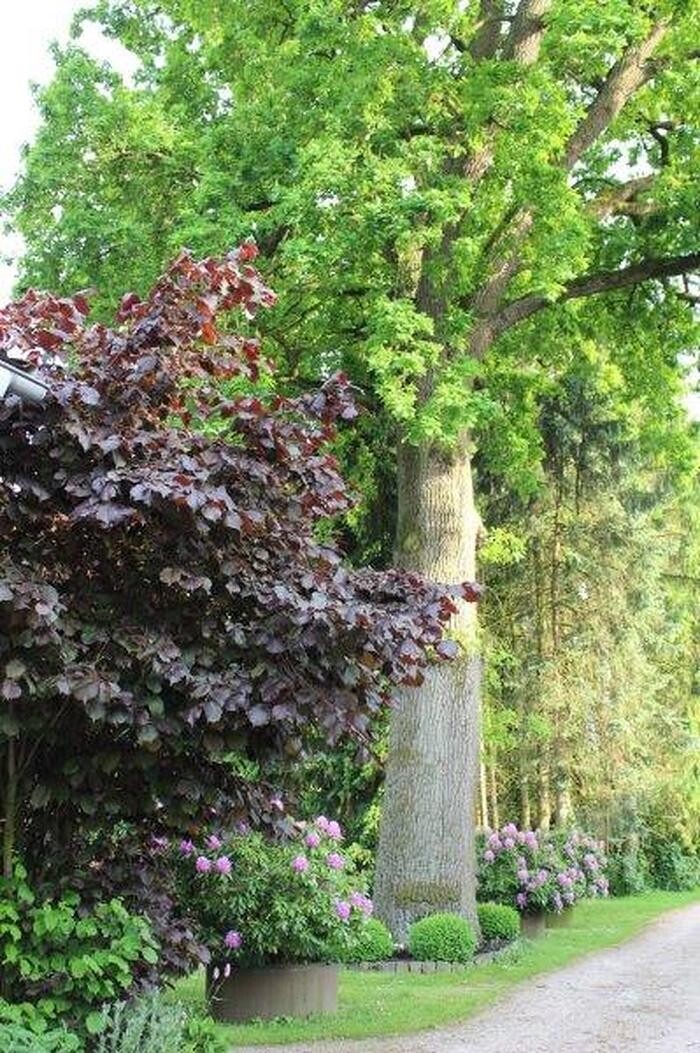 Bilder Haasehof