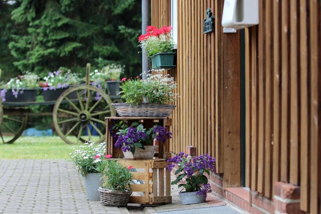 Bilder Haasehof