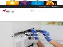 Website Screenshot Fuerpeil-gmbh