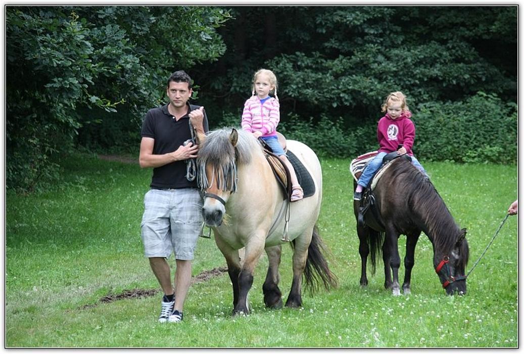 Bilder Sommerrodelbahn-Altenahr