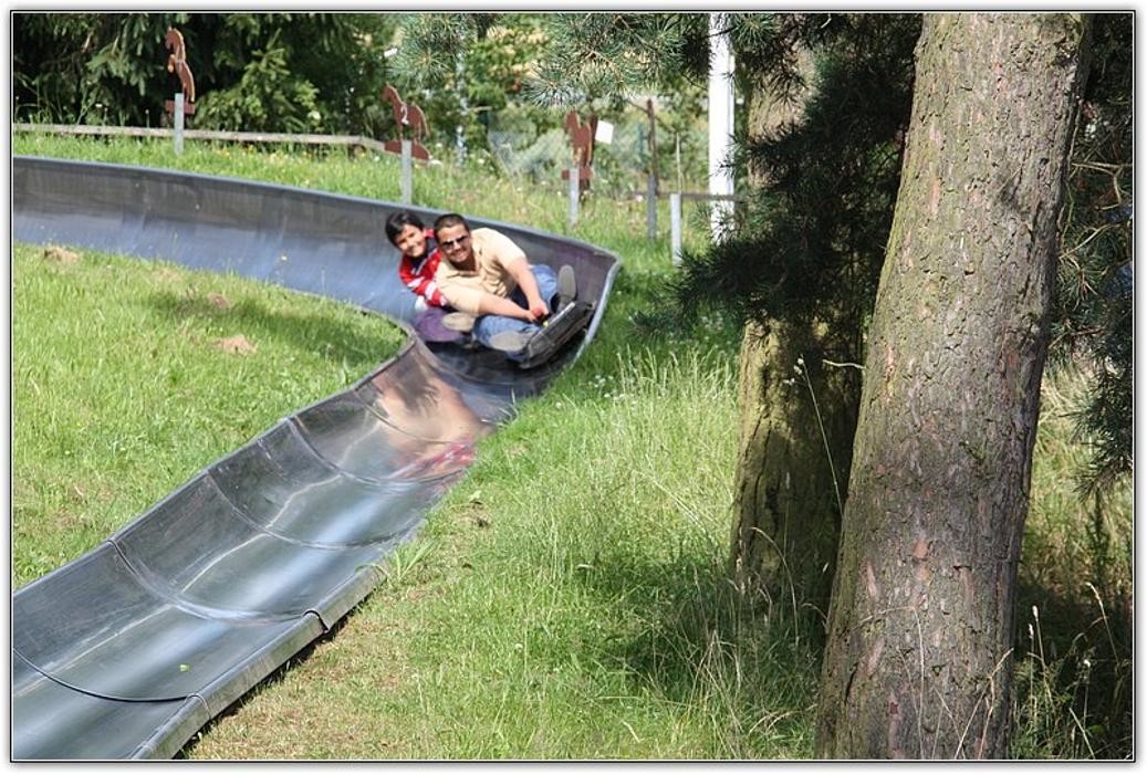 Bilder Sommerrodelbahn-Altenahr