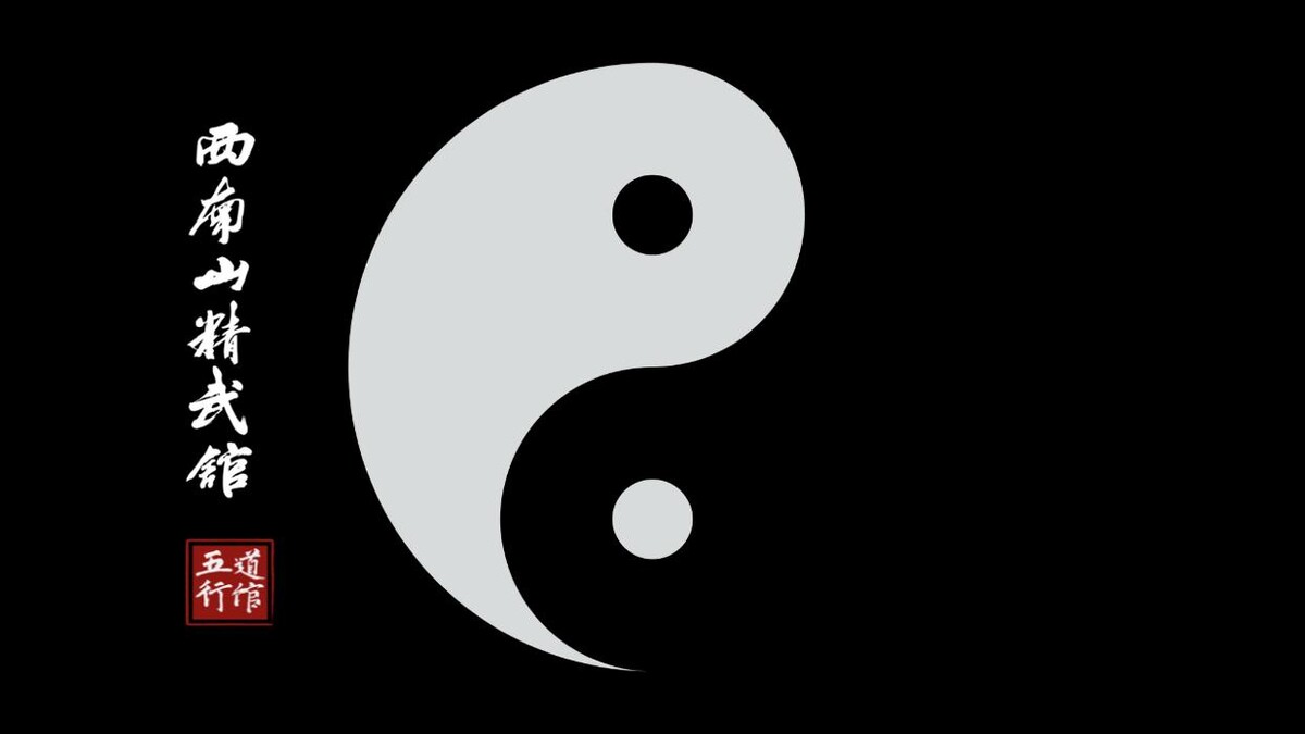 Bilder Wu Xing Kung Fu Zentrum Freiburg