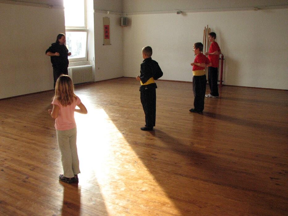 Bilder Wu Xing Kung Fu Zentrum Freiburg