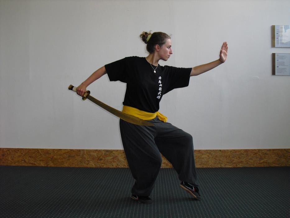 Bilder Wu Xing Kung Fu Zentrum Freiburg