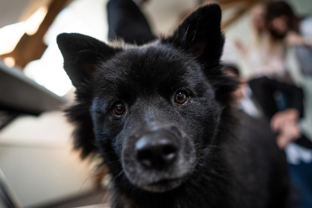 Bilder LVM Versicherung Christian Rickes - Versicherungsagentur