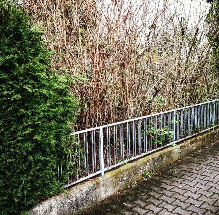 Bilder MKN Gartenpflege