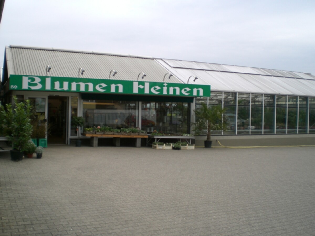 Bilder Blumen Heinen      