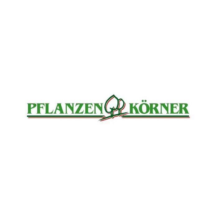 Bilder Pflanzen Körner