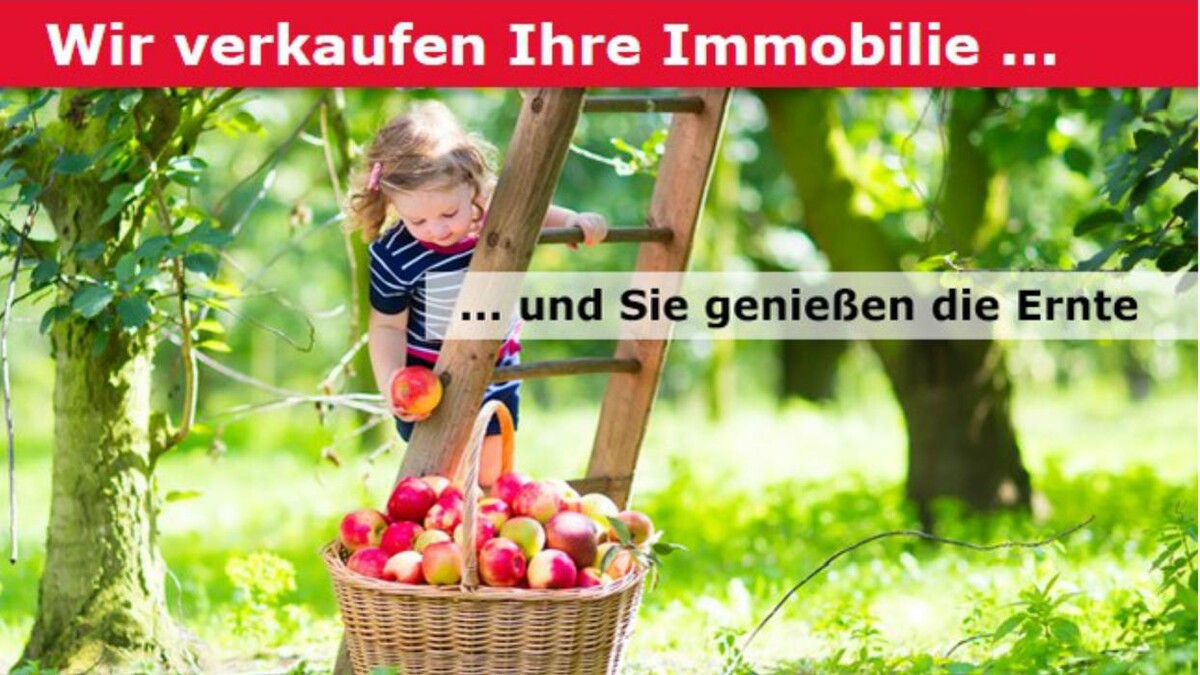 Bilder Lukas Immobilien