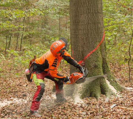 Bilder Fotografie Ulrich Dohle