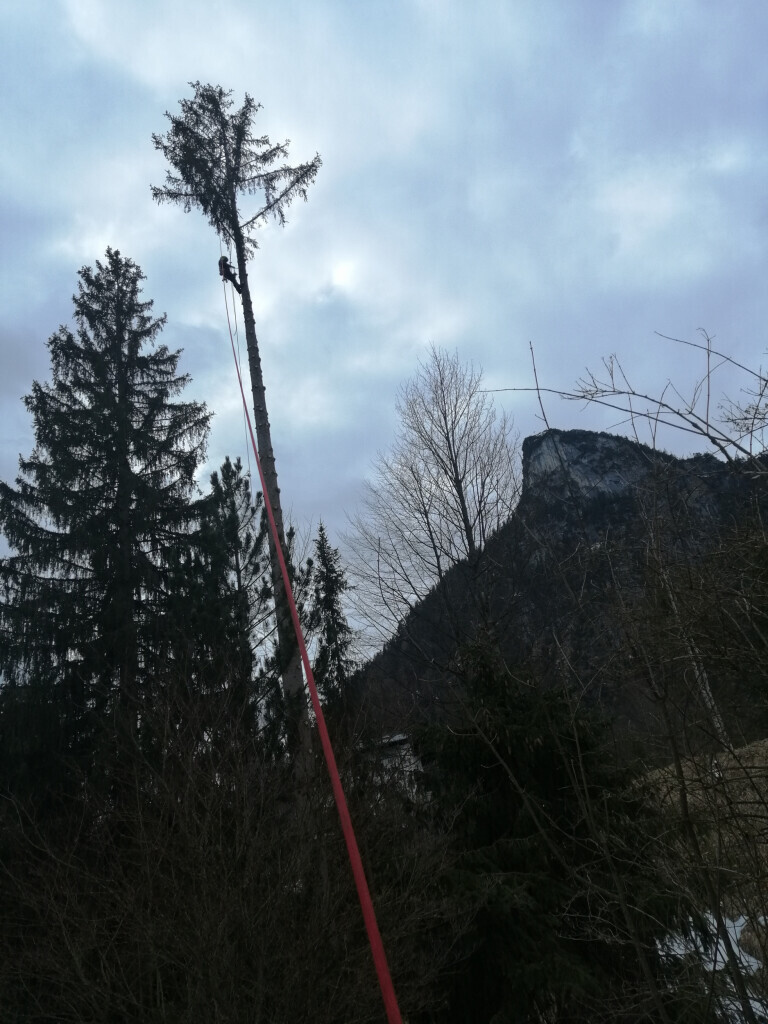 Bilder Fotografie Ulrich Dohle