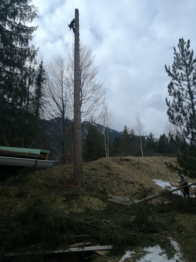 Bilder Fotografie Ulrich Dohle