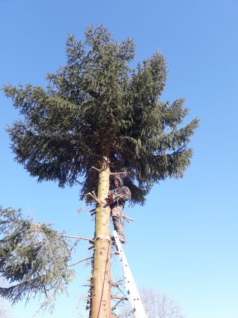 Bilder Taxi Rüsselsheim eG