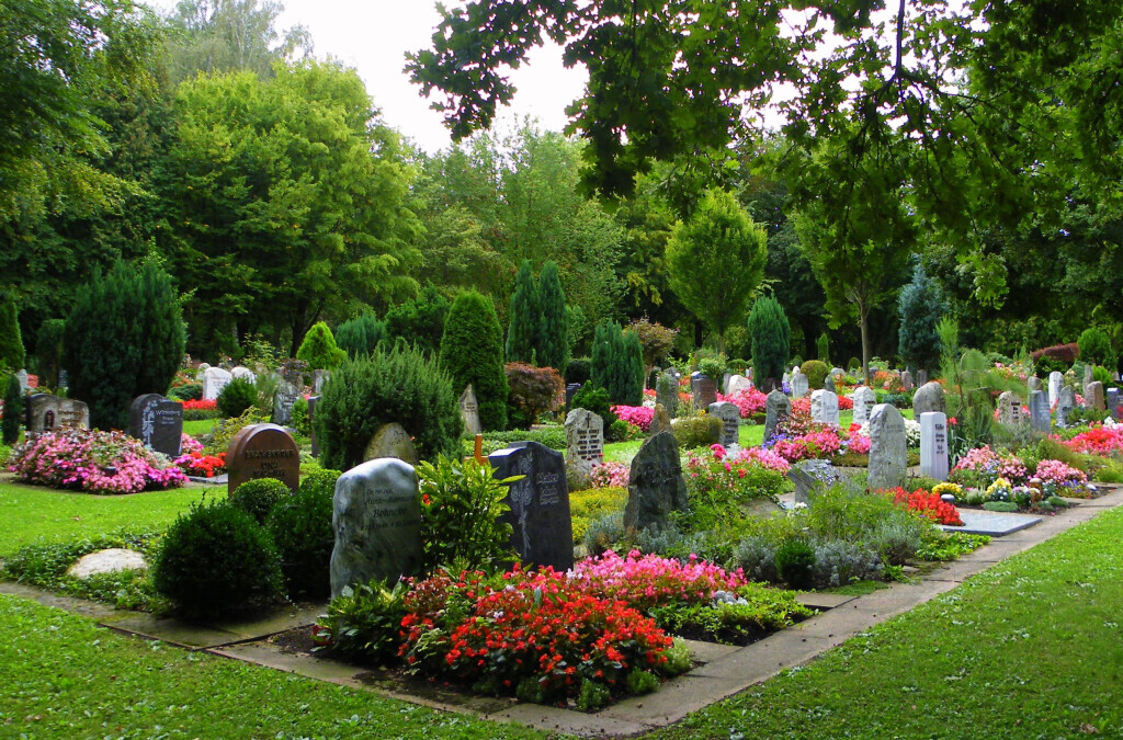 Bilder Taxi Rüsselsheim eG