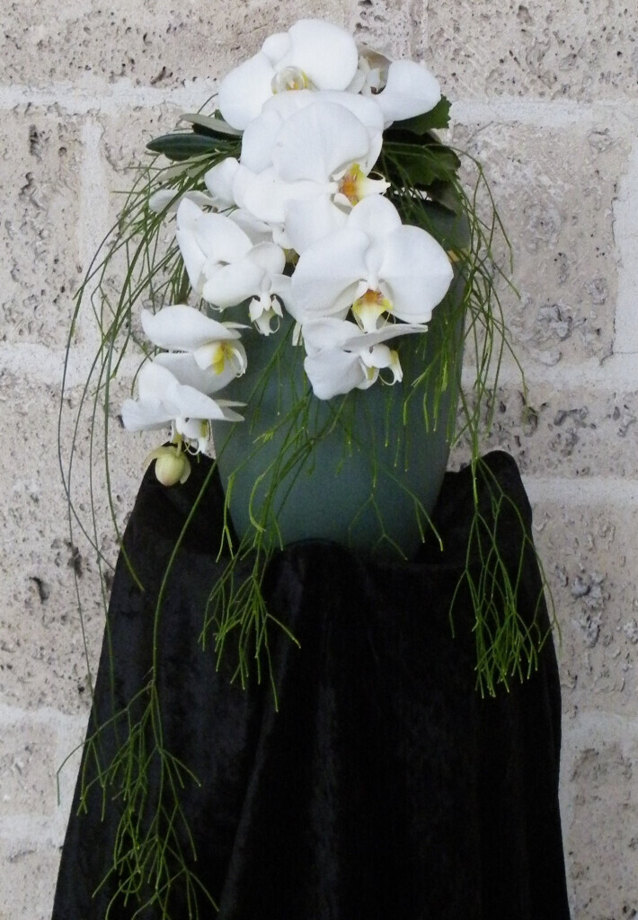 Bilder Taxi Rüsselsheim eG