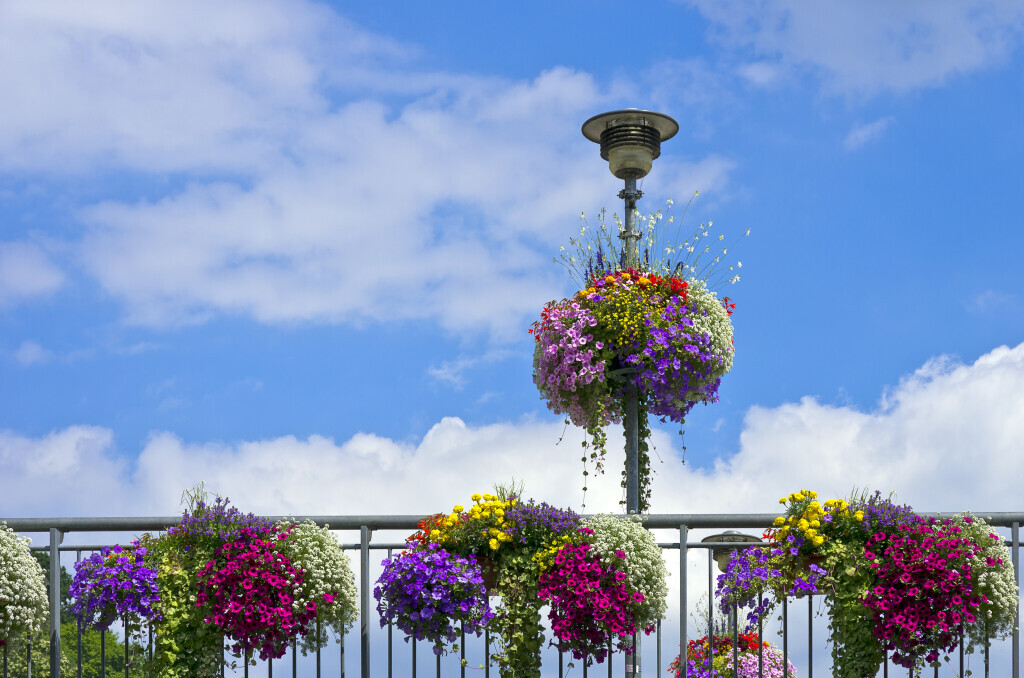 Bilder Taxi Rüsselsheim eG