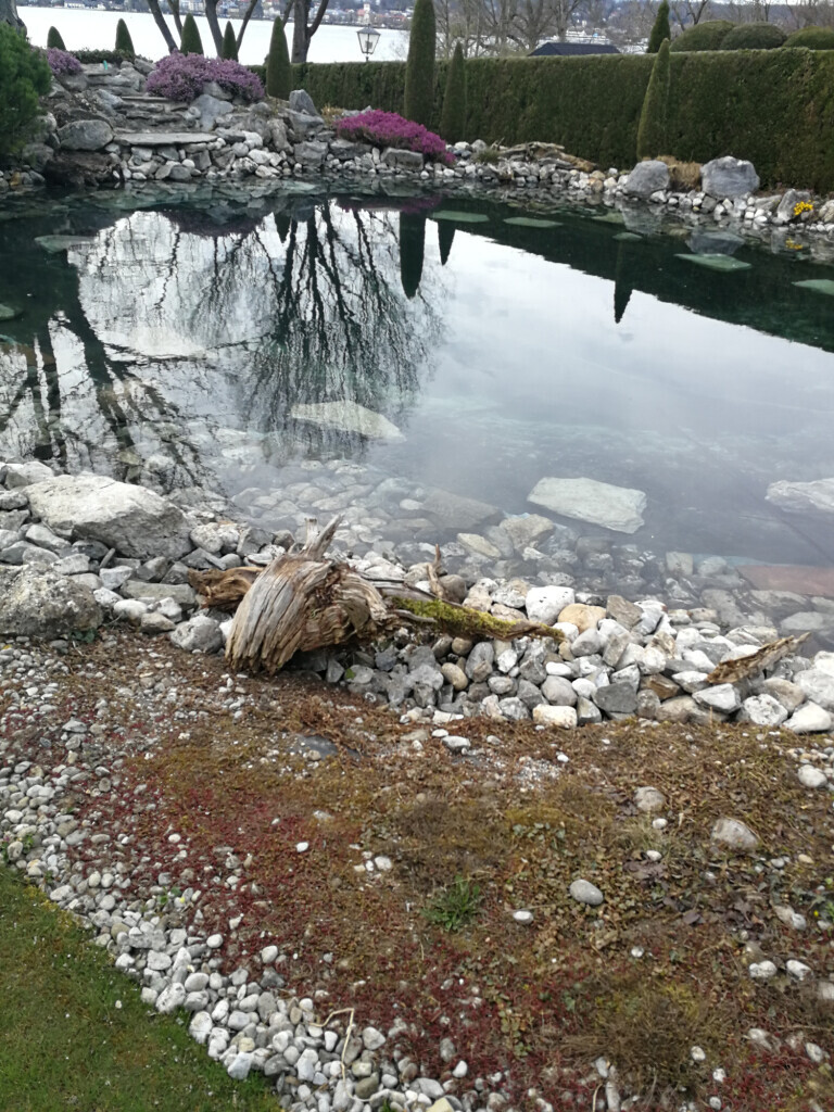 Bilder Taxi Rüsselsheim eG