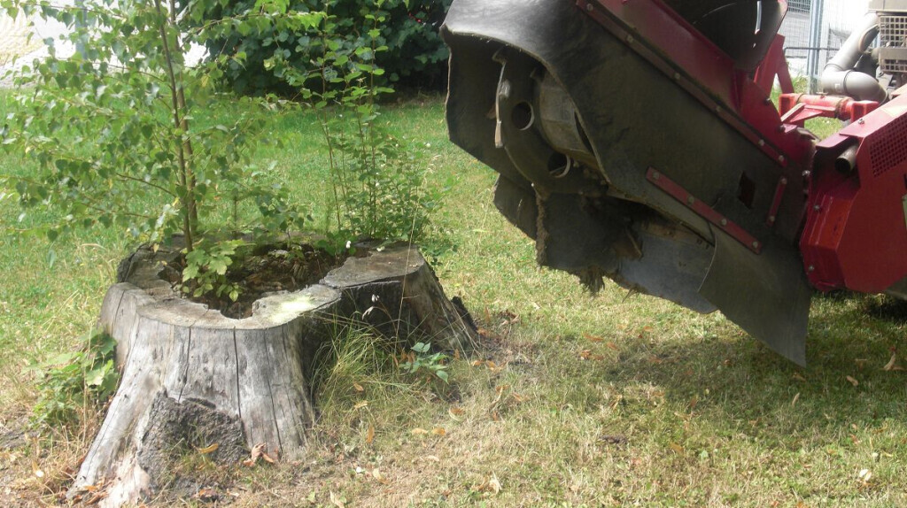 Bilder Taxi Rüsselsheim eG