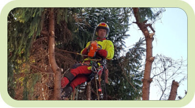 Bilder Fr. Oberurseler Forstdienstleistungen e. K.