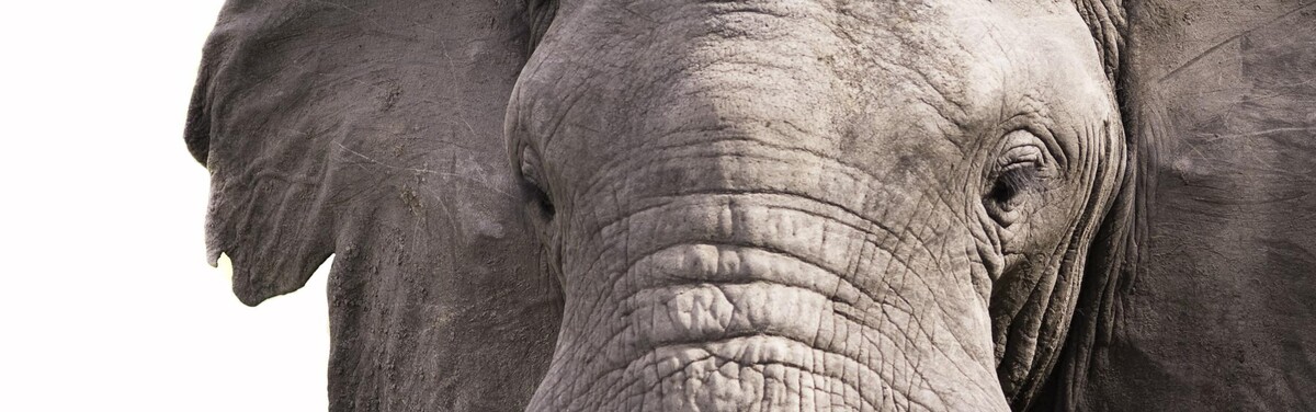 Bilder WK Hydraulik Walter + Kieler GmbH