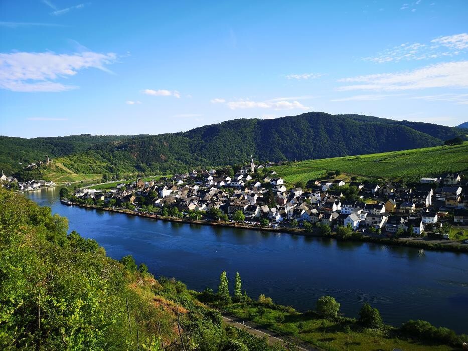 Bilder Villa Hausmann - Urlaubsweingut bei Cochem an der Mosel