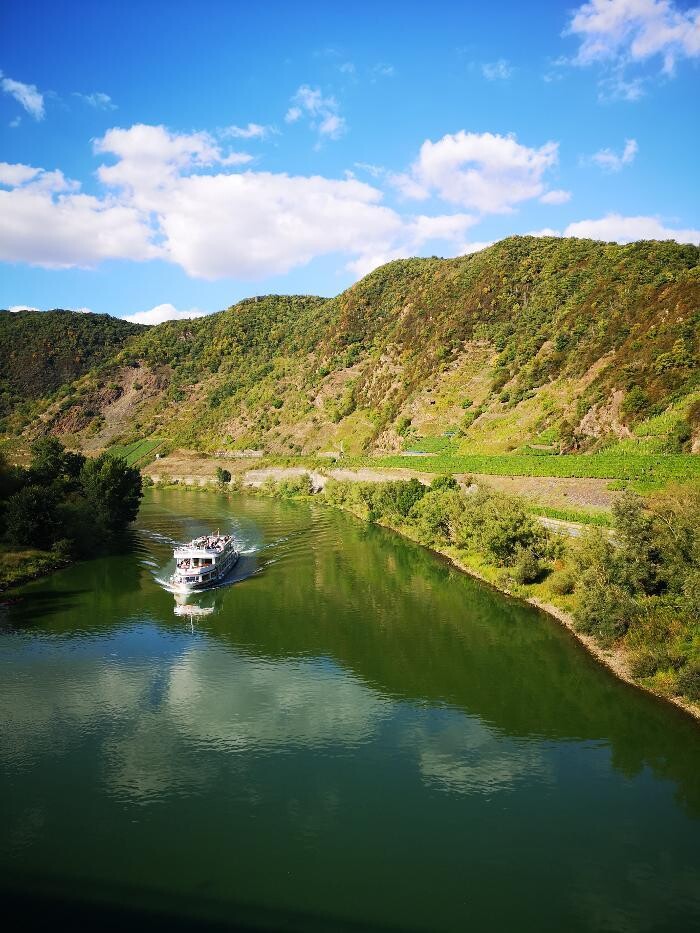 Bilder Villa Hausmann - Urlaubsweingut bei Cochem an der Mosel