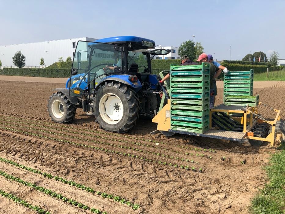 Bilder Gartenbau Mandt