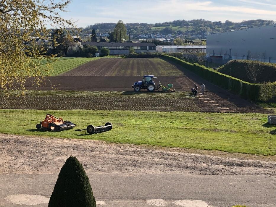 Bilder Gartenbau Mandt
