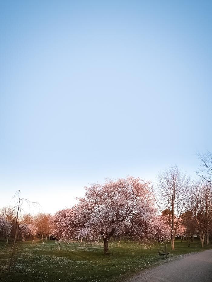 Bilder Islamisches Bestattungsinstitut