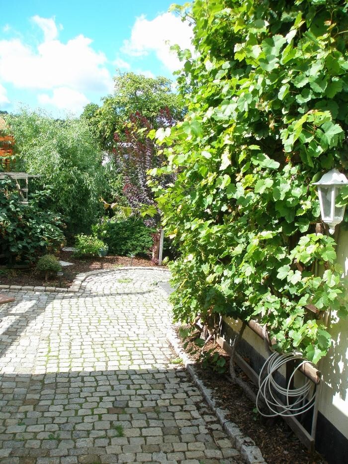 Bilder ALACARD Ferienwohnungen Höffgen Thale/Harz