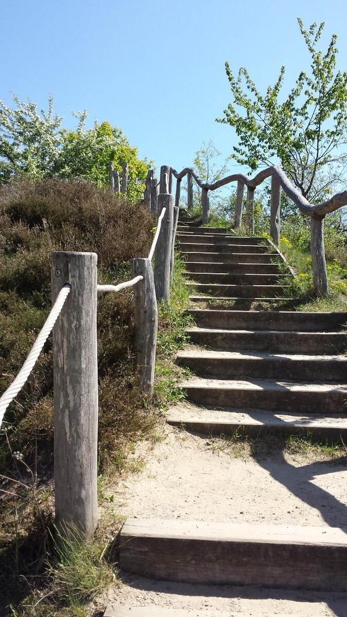 Bilder ALACARD Ferienwohnungen Höffgen Thale/Harz