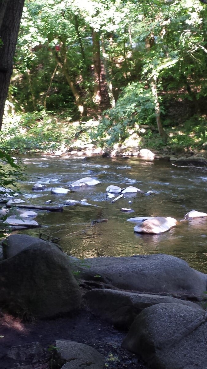 Bilder ALACARD Ferienwohnungen Höffgen Thale/Harz