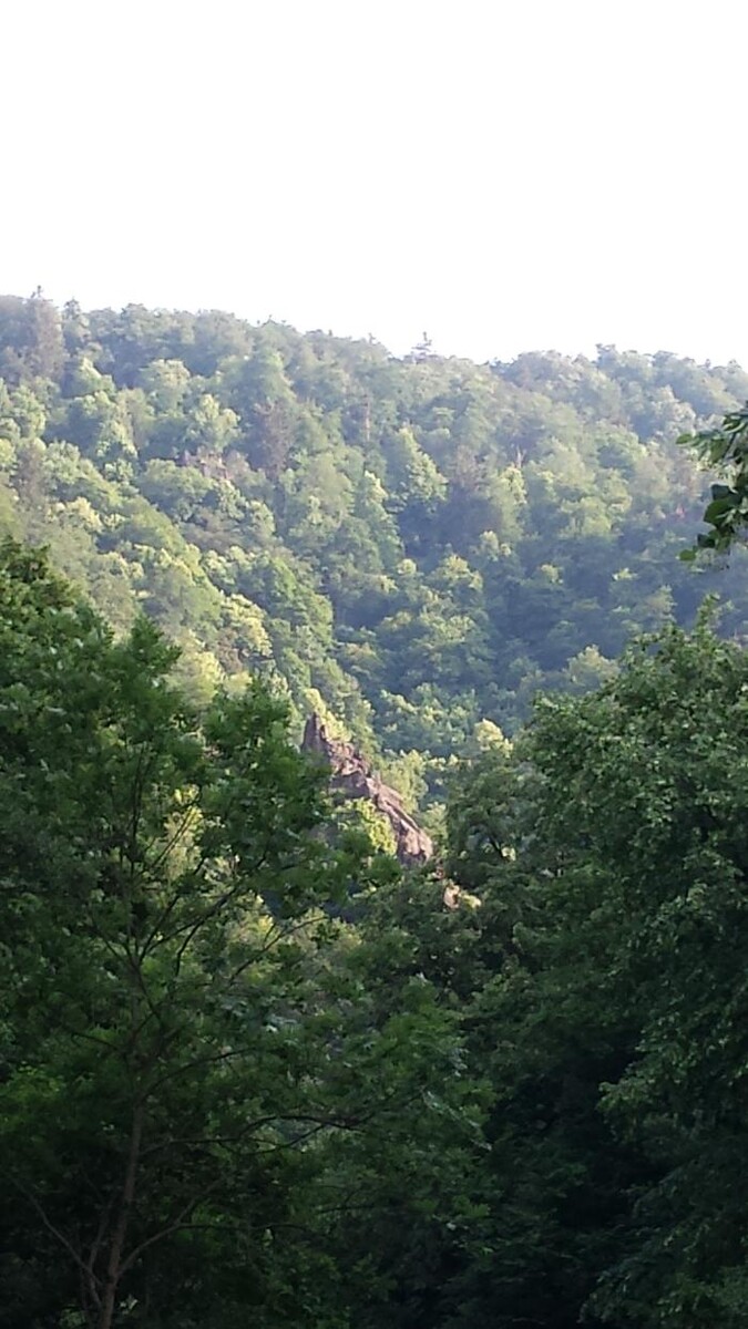 Bilder ALACARD Ferienwohnungen Höffgen Thale/Harz